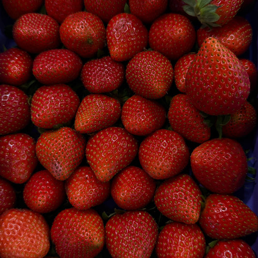 Fraises Clery