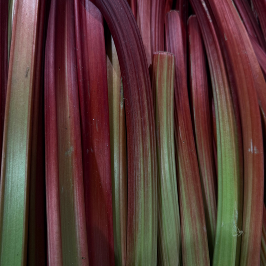 Rhubarbes